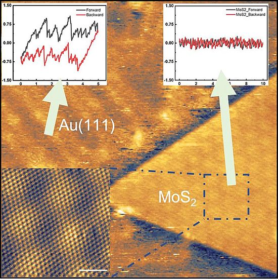 Friction and wear at the nanoscale