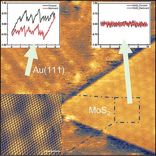 Friction and wear at the nanoscale