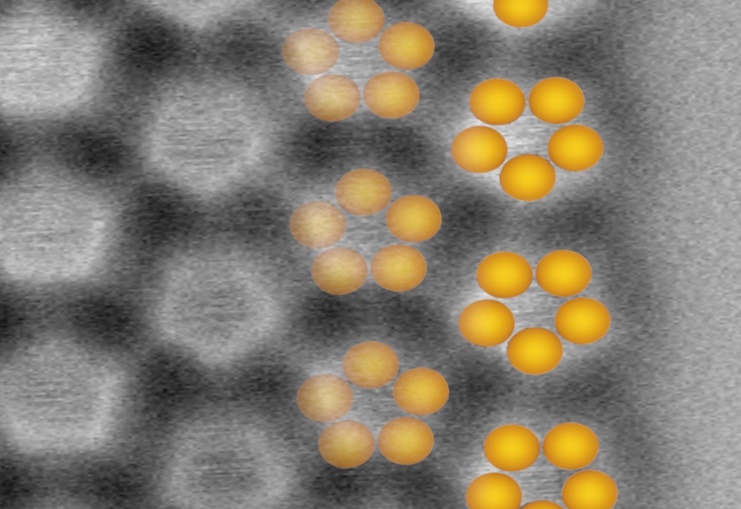 phosphorene